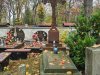 IMG_20221027_043241