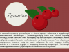 żurawina