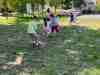 IMG_8223_Easy-Resize.com_