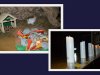 Jaselka2635