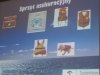 IMG_20240607_100500171-2