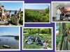 Mazury4