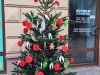 IMG-20221213-WA0008-1
