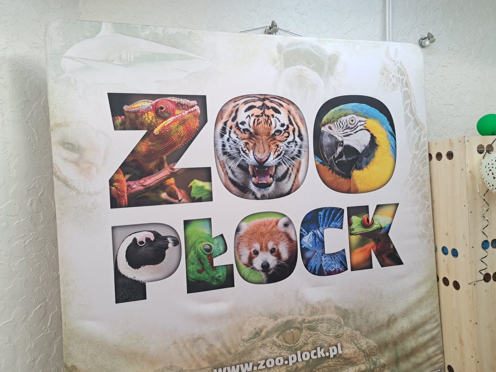 Klasa 3B w płockim ZOO – lekcja przyrody na żywo!